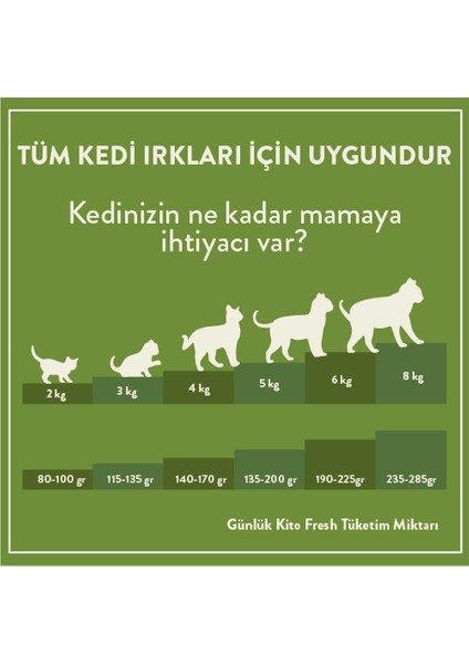 Fresh Tavuk Etli Kedi Yemeği 85 gr modelleri