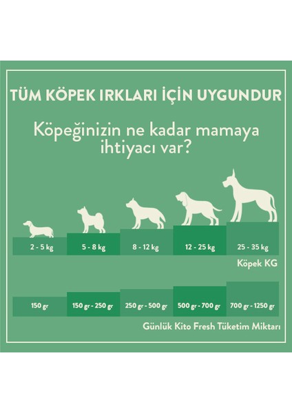Fresh Dana Etli Taze Köpek Yemeği modelleri