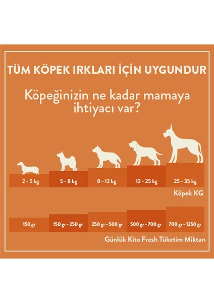 Fresh Kuzu Etli Taze Köpek Yemeği modelleri