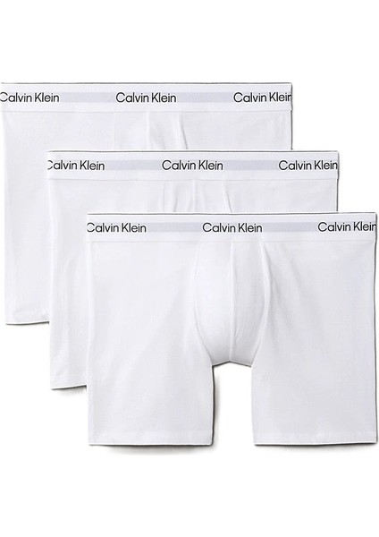 Calvın Kleın Erkek 3 Lü Boxer NB4394-100