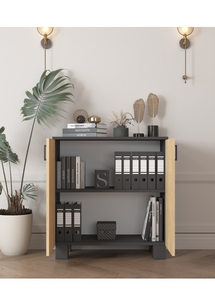 Antrasit 2 Kapaklı Ofis Dolabı fiyatları