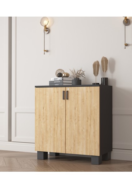 Antrasit 2 Kapaklı Ofis Dolabı modelleri