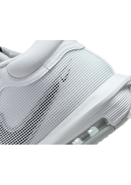 Unisex Basketbol Ayakkabısı FB2239-100 Gri Lebron Witness 8