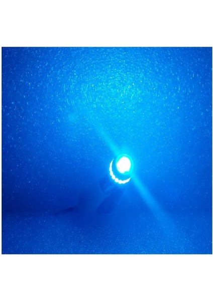 ( 2 x Adet ) 1 Takım Professıonal T10 LED Dipsiz Ampul 18+1 Ice Blue (Buz Mavi) 750LM 3030 Smd Lens Rohs LED fırsatları