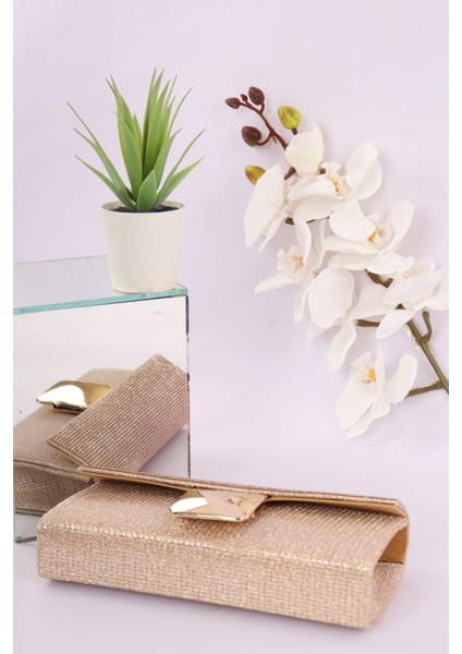 254 Çizgili Nal Şeklinde Taşlı Abiye Çanta fiyatları