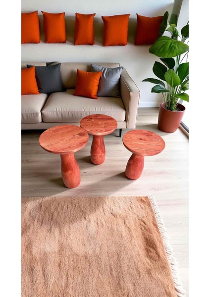 3lu Ahşap Mantar Sehpa Seti Maun Renk Yan Sehpa Takımı modelleri