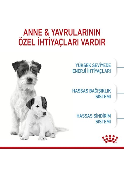 Mini Starter Mother & Babydog 4 kg Köpek Maması fırsatları