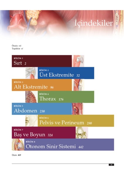 Lippincott Anatomi Atlası - Thomas G. Rest 500 Sayfa Türkçe Yayın modelleri