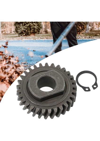 Stand Mikser Solucan Dişlisi W11086780 Yedek Parça Birden Fazla Modelle Uyumlu 9706529 WP9706529 (Yurt Dışından) fırsatları