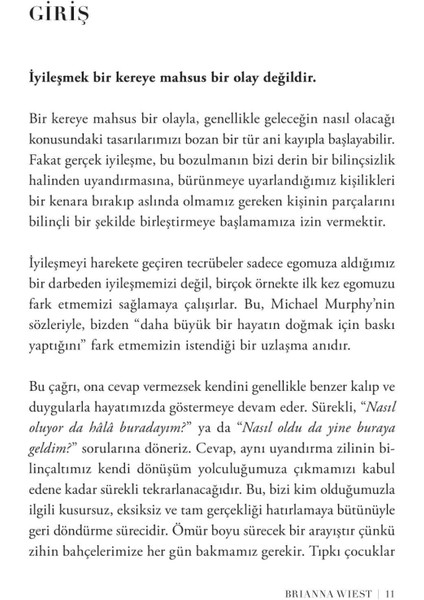 Hazır Olduğunuzda Işte Böyle İyileşirsiniz - Brianna Wiest modelleri