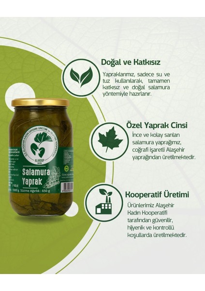 Salamura Yaprak 650 Gr, Alaşehir Coğrafi İşaretli Asma Yaprağı modelleri