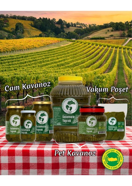 Salamura Yaprak 650 Gr, Alaşehir Coğrafi İşaretli Asma Yaprağı indirimleri
