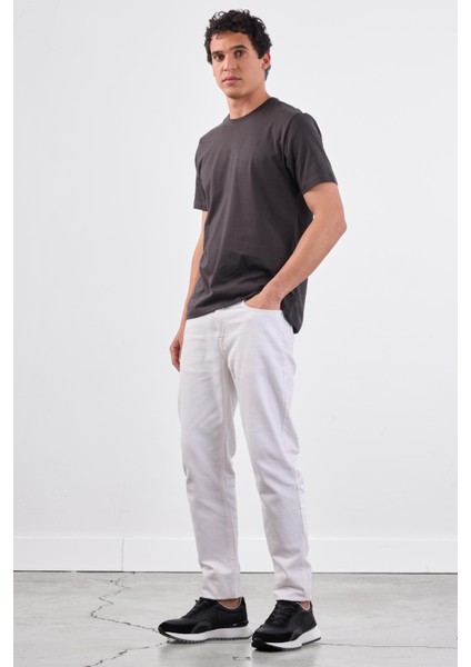 Antrasit Bisiklet Yaka Pamuklu Düz Renk Slim Fit Erkek T-shirt fiyatları