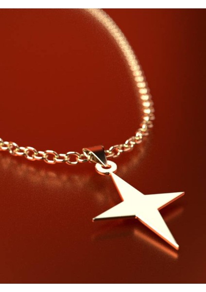 14 Ayar Altın Yıldız Kolye Ucu 0.5 Gr, KC15549 Kodlu fırsatları