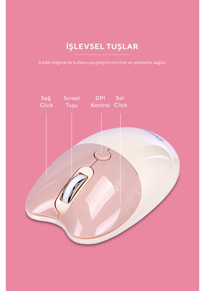 KM-6284 WHISKER Renkli Tuşlu Bej Kablosuz Q Klavye + Mouse Set