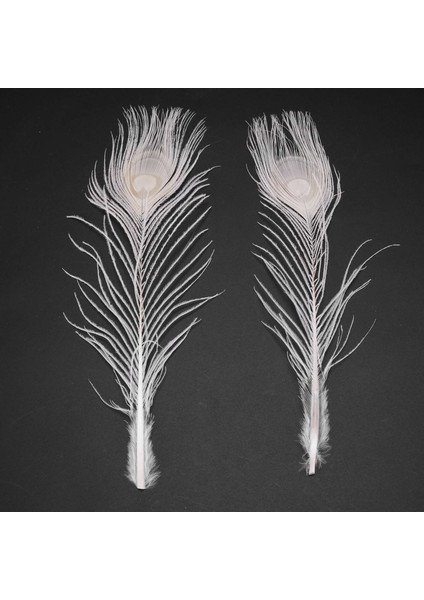 50 Pcs / Gözdeki Doğal Beyaz Tavuskuşu Tüyleri, Tavuskuşu Tüyü Düğün Dekorasyonunun 10 Ila 12 Inç (Yurt Dışından) indirimleri