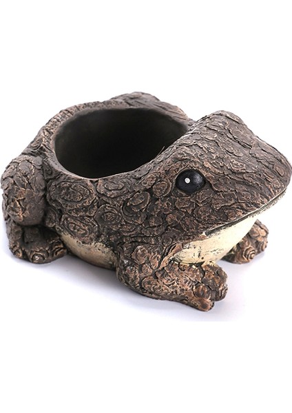 Sukulent Çiçek Saksısı Mini Reçine Bitki Saksısı Reçine Sukulent Saksı Ofis Masaüstü Masa Süsü Kurbağa (Yurt Dışından)