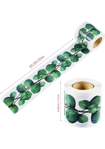 65.6ft Okaliptüs Kalıp Kesim Sınır Trim Bülten Tahtası Sınır Etiket Sınıf Bülteni Duvar Dekor Duvar Çıkartmaları Sınır A (Yurt Dışından) modelleri