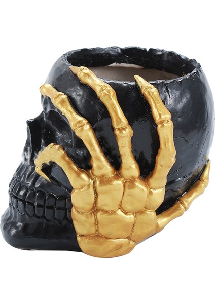 Ev Dekorasyonu Kafatası Saksı, Iç Mekan Küçük Saksı, Iç Mekan Bitki Mini Saksı, Bahçe Sukulent Saksısı (B) (Yurt Dışından) modelleri