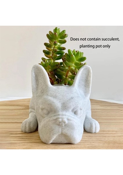 Adet Fransız Bulldog Şekli Reçine Etli Ekici Mini Yavru Bitkiler Ekici, Masaüstü Saksı Köpek Şekli Bonsai (Yurt Dışından) modelleri