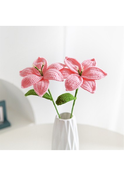 El Örgüsü Zambak Anneler Günü Hediyesi Lale Gül Tığ Işi Çiçekler Yapay Çiçek Buketi Ev Yapımı Masaüstü Dekor Hediyesi (Yurt Dışından) indirimleri