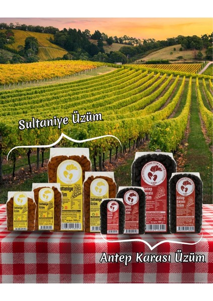 Antep Karası (Çekirdekli) Siyah Kuru Üzüm 1 kg