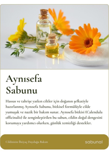 Aynısefa Sabunu - Hassas Ciltler İçin Bitkisel Sabun 100 gr fiyatları