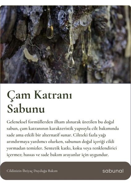 Çam Katranı Sabunu - Hassas Ciltler İçin Doğal Bakım Sabunu 100 gr fiyatları