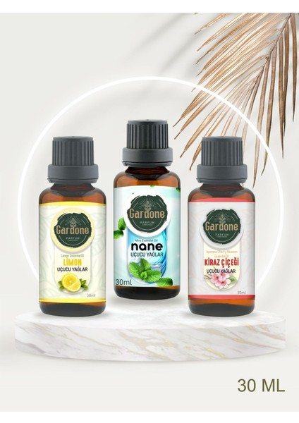 3'lü Set Uçucu Yağ, Buhurdanlık Yağı, Doğal Uçucu Yağlar, Oda Kokusu, Difüzör Yağ Aromaterapi 30ML
