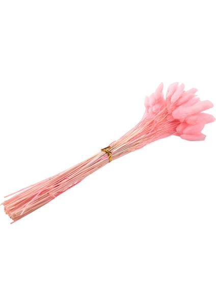 60 Adet Güz Kurutulmuş Çiçekler Tavşan Kuyrukları Kurutulmuş Çiçekler Lagurus Ovatus Tavşan Kuyruğu Çim Kurutulmuş Çiçek (Pembe) (Yurt Dışından)