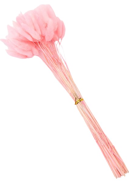 60 Adet Güz Kurutulmuş Çiçekler Tavşan Kuyrukları Kurutulmuş Çiçekler Lagurus Ovatus Tavşan Kuyruğu Çim Kurutulmuş Çiçek (Pembe) (Yurt Dışından) indirimleri