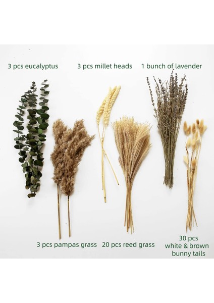 60 Adet Kurutulmuş Çiçek Pampas Dekoratif Kamış Çim Ev Ofis Dekor Için Dıy Çiçek Aranjmanı, Düğün Centerpieces (Yurt Dışından) indirimleri