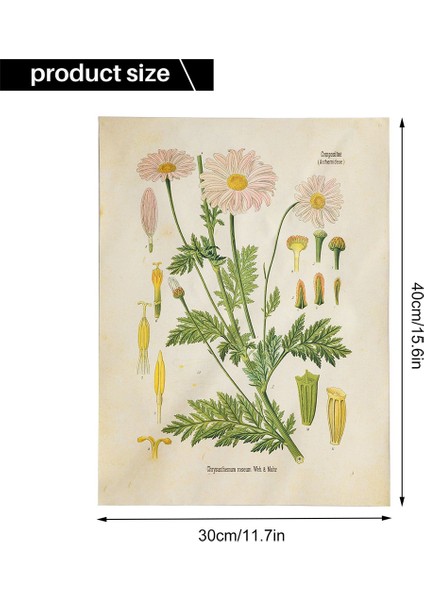 Adet Çiçek Goblen Duvar Asılı Kır Çiçeği Bitki Çiçek Goblen Tablosu Küçük Goblen Yatak Odası Oturma Odası Için (A + B + E) (Yurt Dışından)