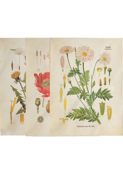 Adet Çiçek Goblen Duvar Asılı Kır Çiçeği Bitki Çiçek Goblen Tablosu Küçük Goblen Yatak Odası Oturma Odası Için (A + B + E) (Yurt Dışından) fırsatları