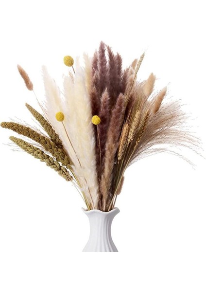 75 Adet Doğal Kurutulmuş Pampas Otu Dekoru, 17 Inç Kamış ve Tavşan Kuyrukları ve Buğday Demetleri ve Billy Topu ve Darı Tanesi, Düğün Boho Için (Yurt Dışından)