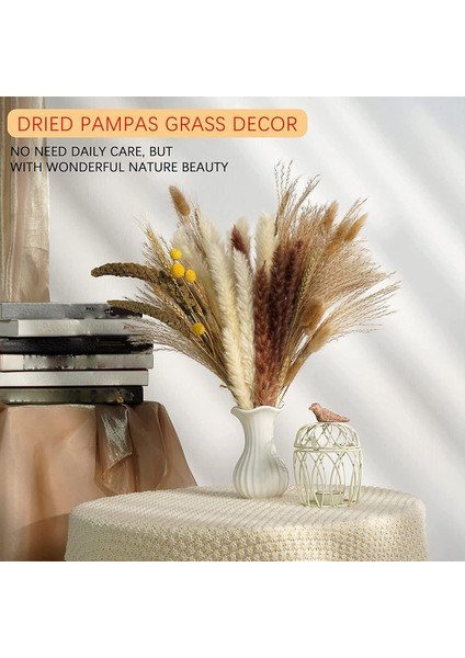 75 Adet Doğal Kurutulmuş Pampas Otu Dekoru, 17 Inç Kamış ve Tavşan Kuyrukları ve Buğday Demetleri ve Billy Topu ve Darı Tanesi, Düğün Boho Için (Yurt Dışından) fiyatları