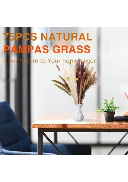 75 Adet Doğal Kurutulmuş Pampas Otu Dekoru, 17 Inç Kamış ve Tavşan Kuyrukları ve Buğday Demetleri ve Billy Topu ve Darı Tanesi, Düğün Boho Için (Yurt Dışından) fırsatları