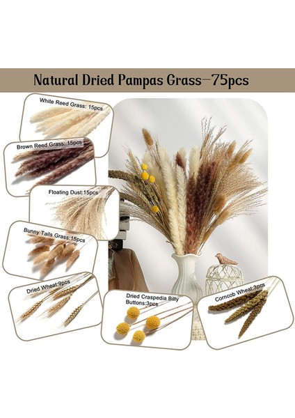 75 Adet Doğal Kurutulmuş Pampas Otu Dekoru, 17 Inç Kamış ve Tavşan Kuyrukları ve Buğday Demetleri ve Billy Topu ve Darı Tanesi, Düğün Boho Için (Yurt Dışından) indirimleri