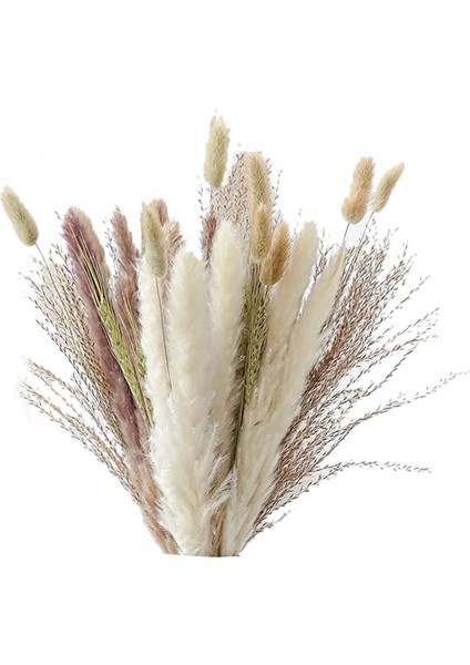 Doğal Pampas Çim Dekoru 40 Parça, 45 cm Doğal Kurutulmuş Beyaz Tavşan Kuyruğu Buğday Tozu Pampas Çim Bitki Boho Dekor (Yurt Dışından)