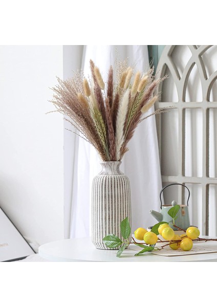 Doğal Pampas Çim Dekoru 40 Parça, 45 cm Doğal Kurutulmuş Beyaz Tavşan Kuyruğu Buğday Tozu Pampas Çim Bitki Boho Dekor (Yurt Dışından) fiyatları