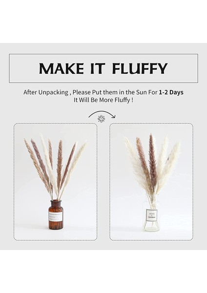 Doğal Pampas Çim Dekoru 40 Parça, 45 cm Doğal Kurutulmuş Beyaz Tavşan Kuyruğu Buğday Tozu Pampas Çim Bitki Boho Dekor (Yurt Dışından) fırsatları
