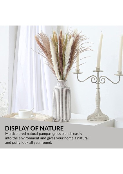 Doğal Pampas Çim Dekoru 40 Parça, 45 cm Doğal Kurutulmuş Beyaz Tavşan Kuyruğu Buğday Tozu Pampas Çim Bitki Boho Dekor (Yurt Dışından) indirimleri