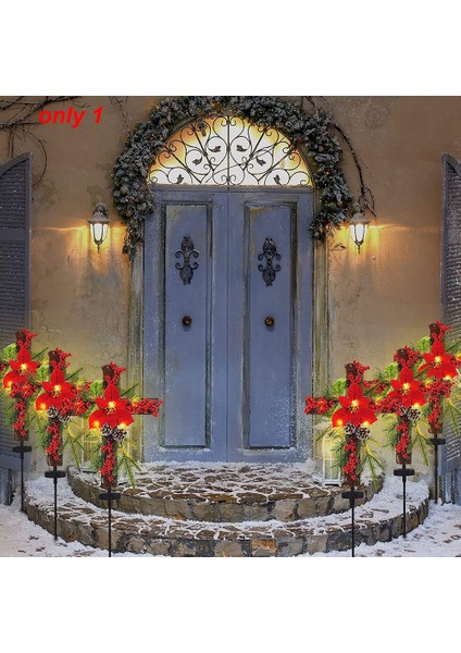 Noel Haç Kazığı, Güneş Enerjili Peri Işıkları, Metal Haç, Doğal Rattan, Kırmızı Atatürk Çiçeği ve Meyveler (Yurt Dışından) fırsatları