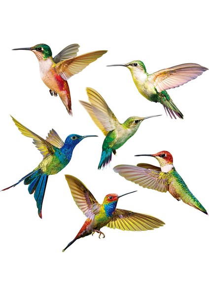 6 Adet Büyük Boy Kuş Pencere Tutunur Çarpışma Önleyici Pencere Tutunur Çıkartmaları Pencere Camına Kuş Çarpmasını Önlemek Için (Yurt Dışından)