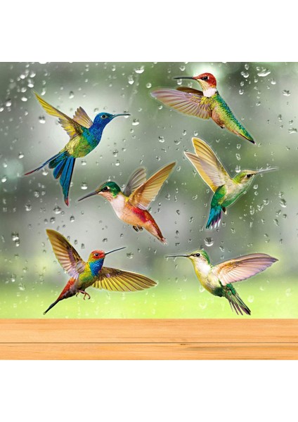 6 Adet Büyük Boy Kuş Pencere Tutunur Çarpışma Önleyici Pencere Tutunur Çıkartmaları Pencere Camına Kuş Çarpmasını Önlemek Için (Yurt Dışından) fiyatları