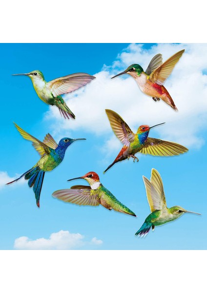 6 Adet Büyük Boy Kuş Pencere Tutunur Çarpışma Önleyici Pencere Tutunur Çıkartmaları Pencere Camına Kuş Çarpmasını Önlemek Için (Yurt Dışından) fırsatları