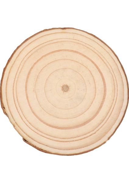 10 Adet Doğal Ağaç Yuvarlak Ahşap Kütük Dilim Düğün Centerpiece Kabuğu Masa Süsü (Yurt Dışından) indirimleri
