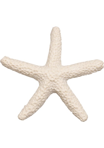 Düğün Dekoru, Ev Dekorasyonu ve El Sanatları Projesi Için 15 Parça Kremsi Beyaz Kalem Parmak Denizyıldızı (Yurt Dışından)