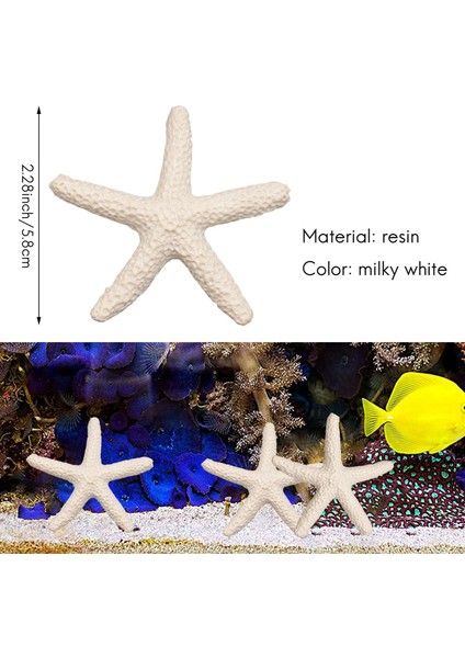 Düğün Dekoru, Ev Dekorasyonu ve El Sanatları Projesi Için 15 Parça Kremsi Beyaz Kalem Parmak Denizyıldızı (Yurt Dışından) fiyatları