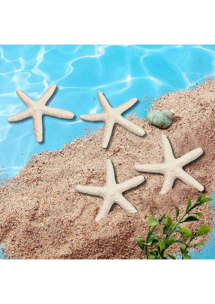 Düğün Dekoru, Ev Dekorasyonu ve El Sanatları Projesi Için 15 Parça Kremsi Beyaz Kalem Parmak Denizyıldızı (Yurt Dışından) modelleri